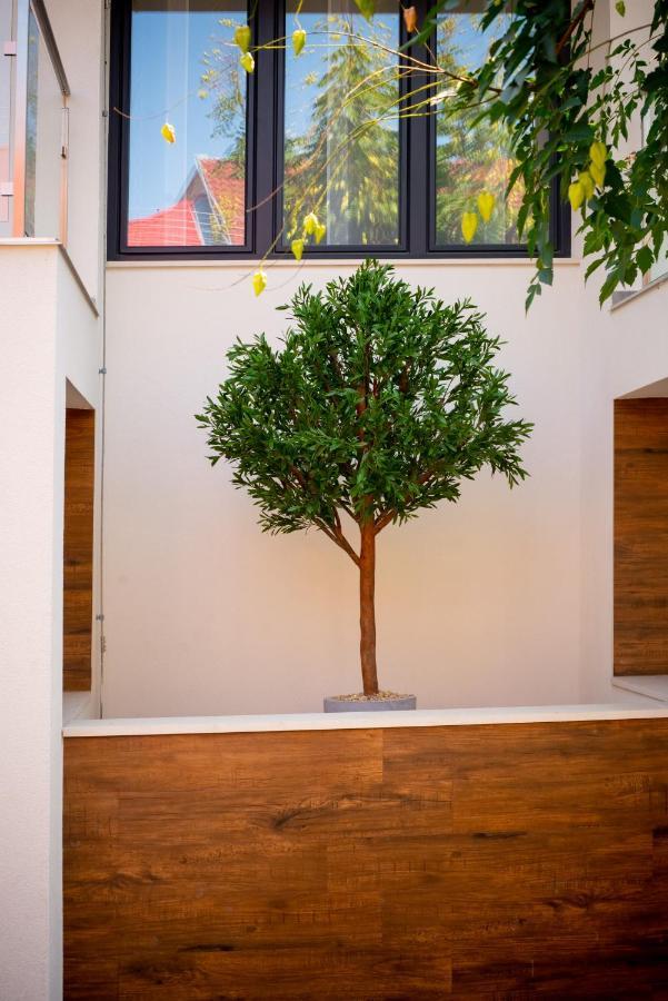 Elixir Panzio Bed & Breakfast นีย์รบาตอร์ ภายนอก รูปภาพ